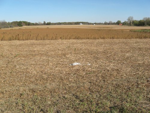 Property photo 28 - 110+/- Acres offered in 4 Tillable Tracts